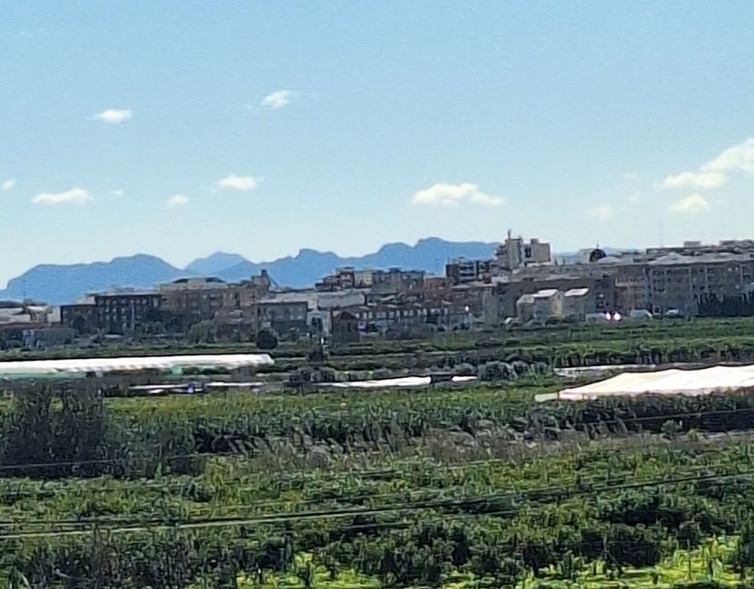 Agrarwirtschaft um Valencia 