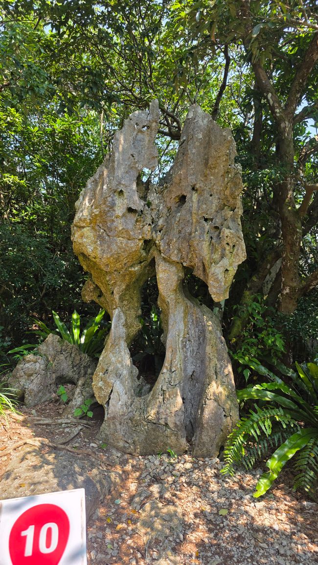 Okinawa Nuchi du takara (La vita è ciò che ci sta a cuore)