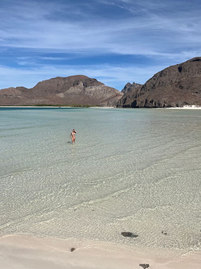 Road Trip - Baja California Sur