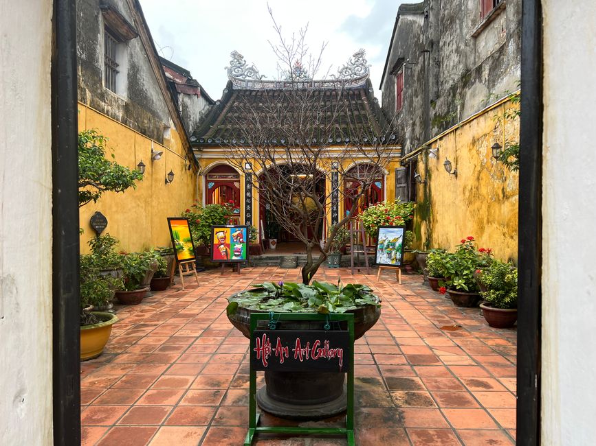 Tag 5 - Hoi An: Ein Tag mit Affen, Einhörnern und vielen Überraschungen