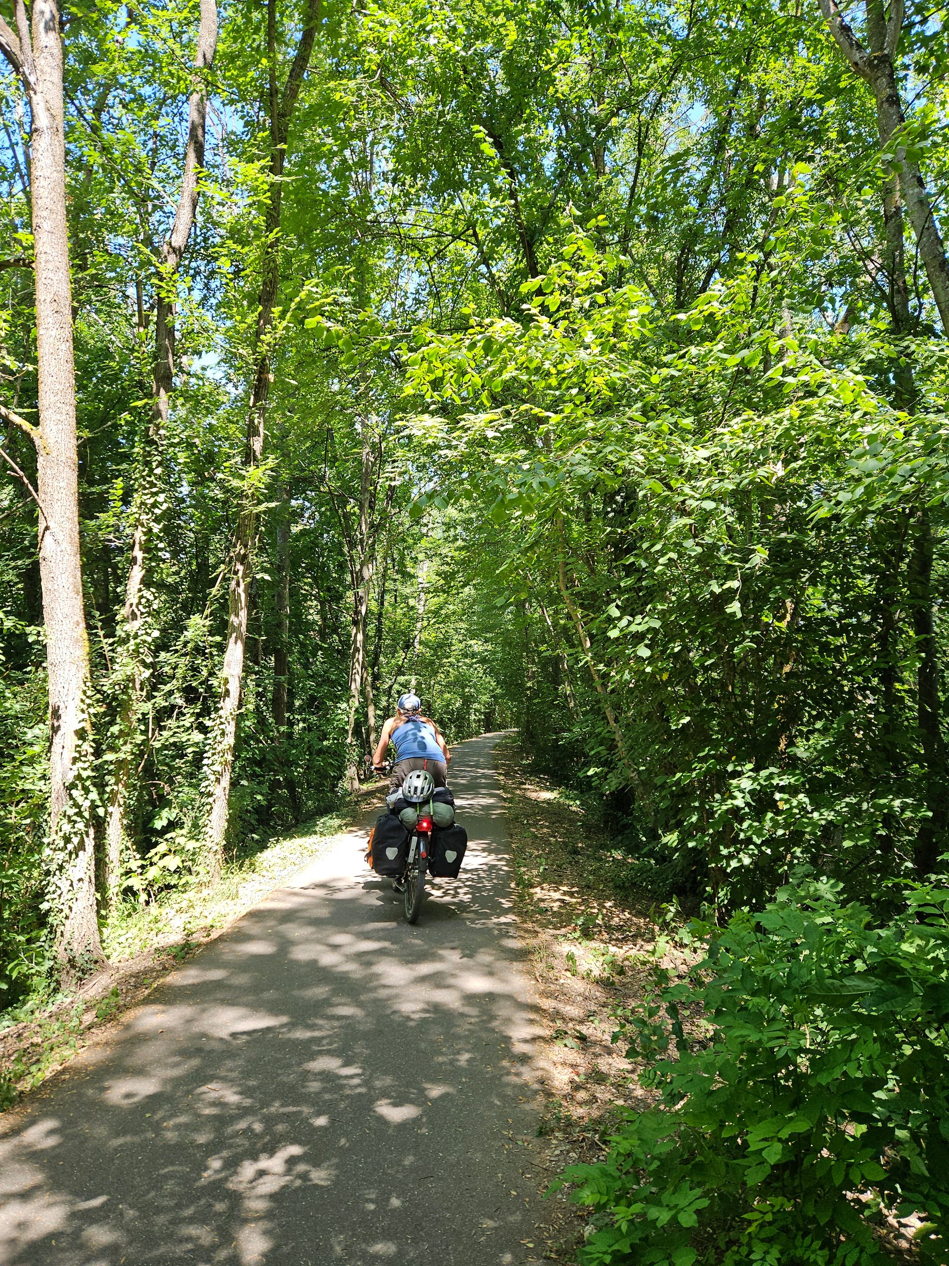 Piste cyclable 56 près d