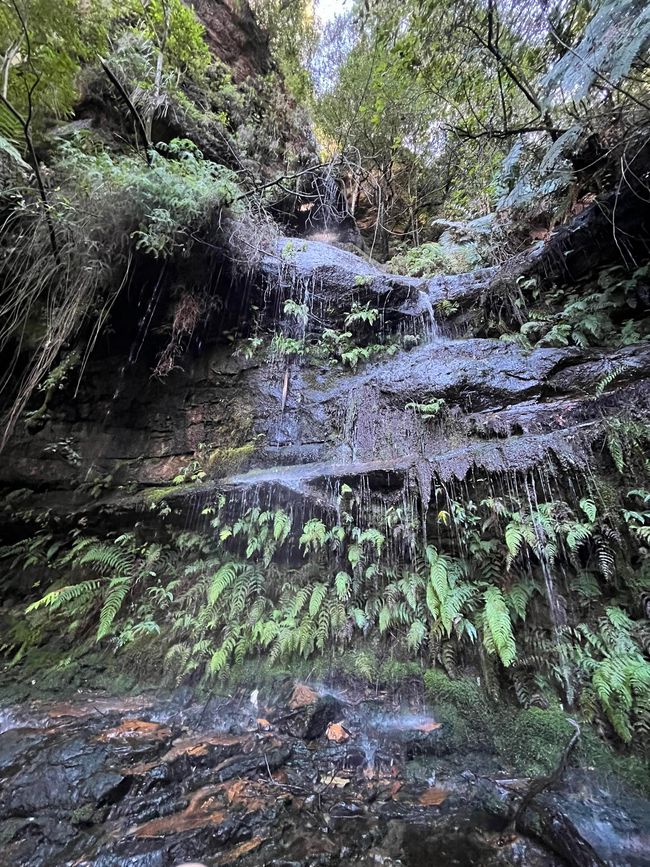 蓝山与邦迪海滩