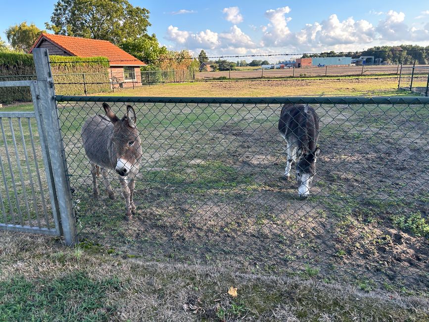 Tag 8: Schoten - Hunsel Teil 3