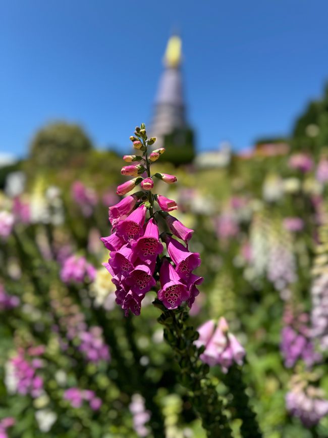 Doi Inthanon Nationalpark