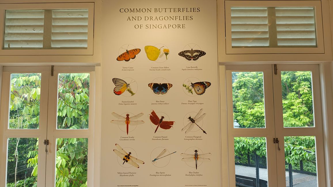 Forest Discovery Centre im SBG