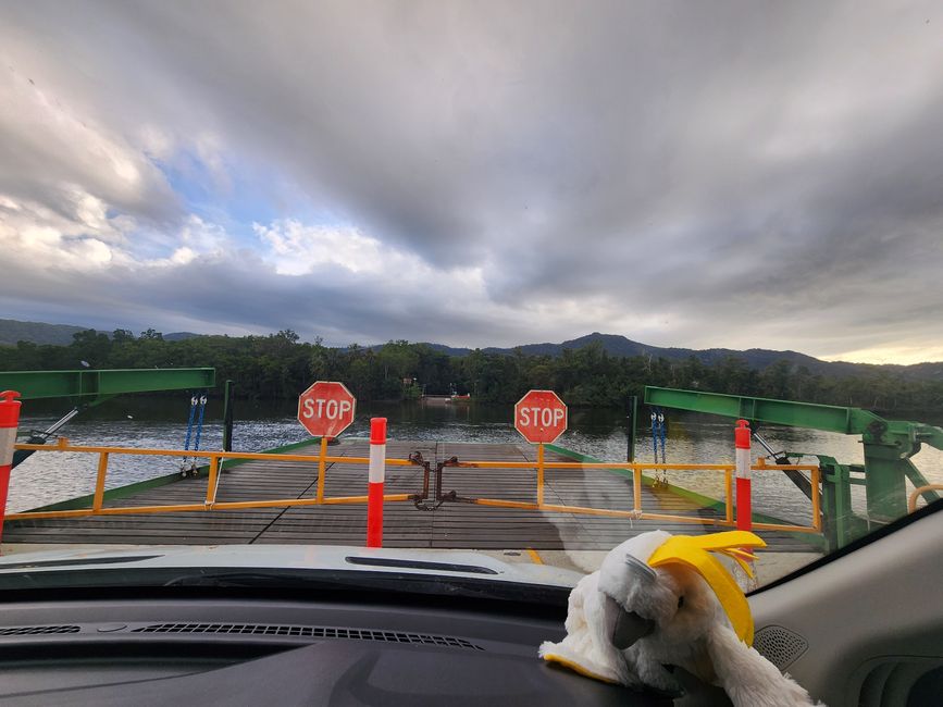 Tag 28, 22. Mai, Daintree, der älteste Regenwald der Welt