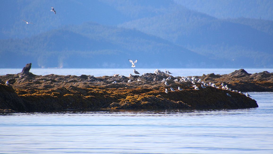 Day 24: Trip to Juneau: Glacier Outburst & 20,000 Tourists