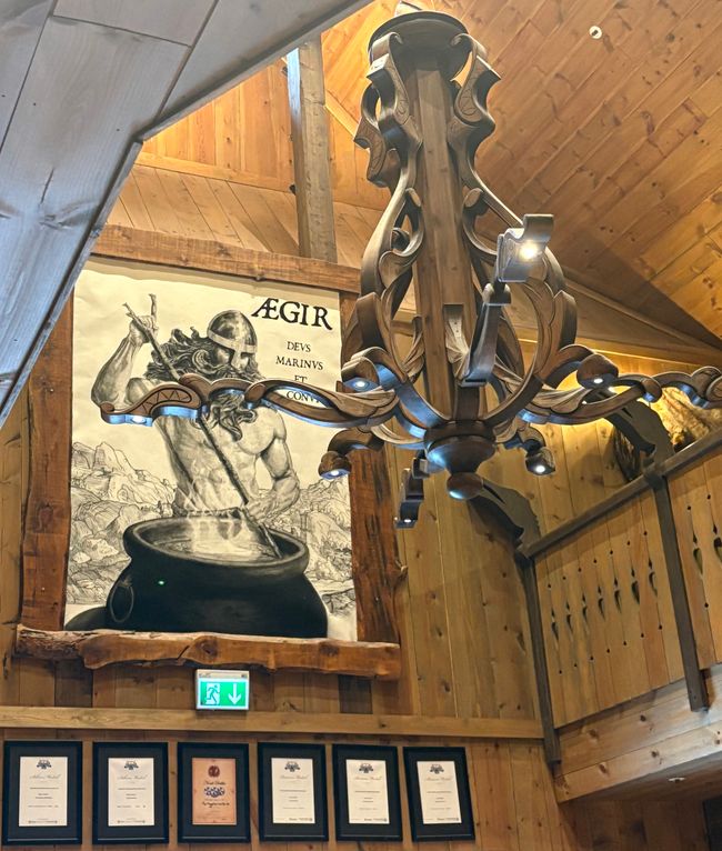 #4/6 - AIDAnova- Flåm