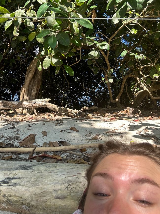 Costa Rica 🇨🇷 