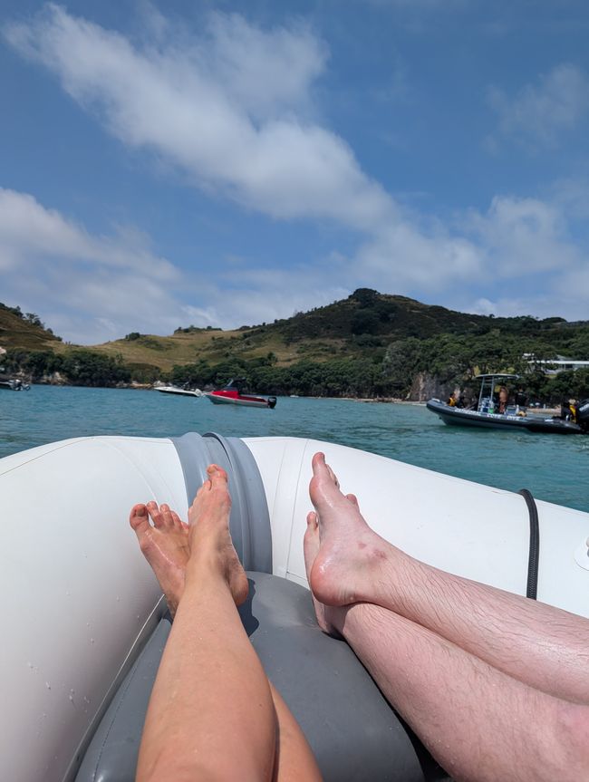 Coromandel Halbinsel - You spin my head right round, because its getting hot in here!