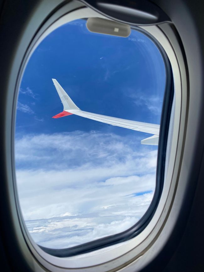 Hasta luego Mexico !