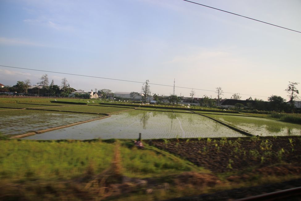 Tag 6: In treno attraverso il Centro Giava
