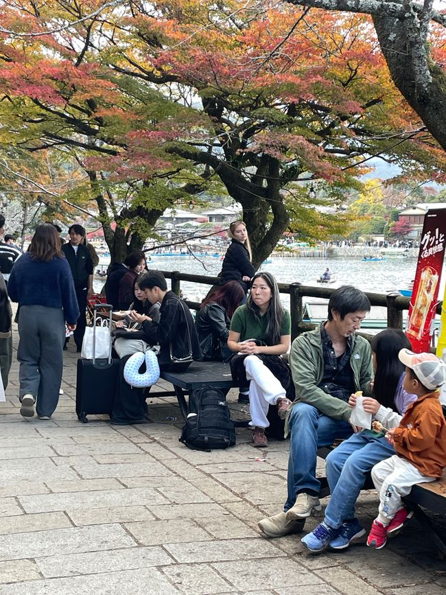 23.Kapitel: Arashiyama oder ein Tag von vorne bis hinten gelungen