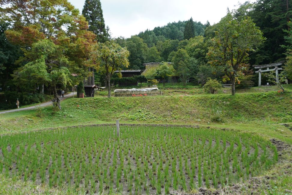 Día de museo en Takayama