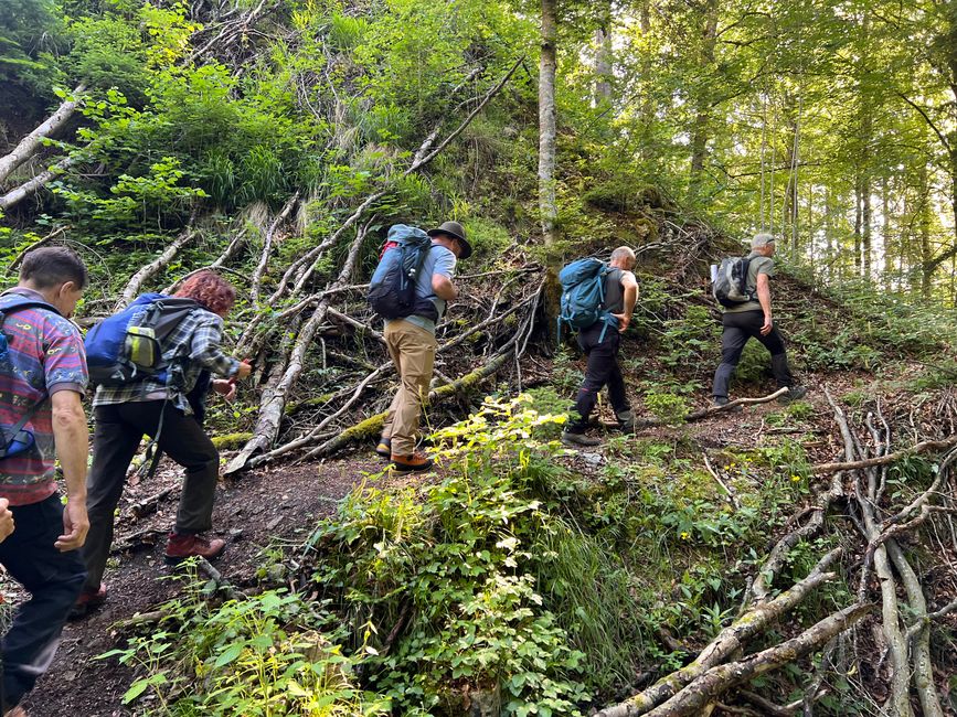 28 Wutachschlucht Pro Wolermoos