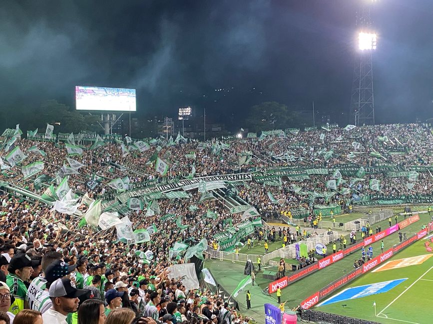 Medellín- die Stadt, in der alles erblüht?