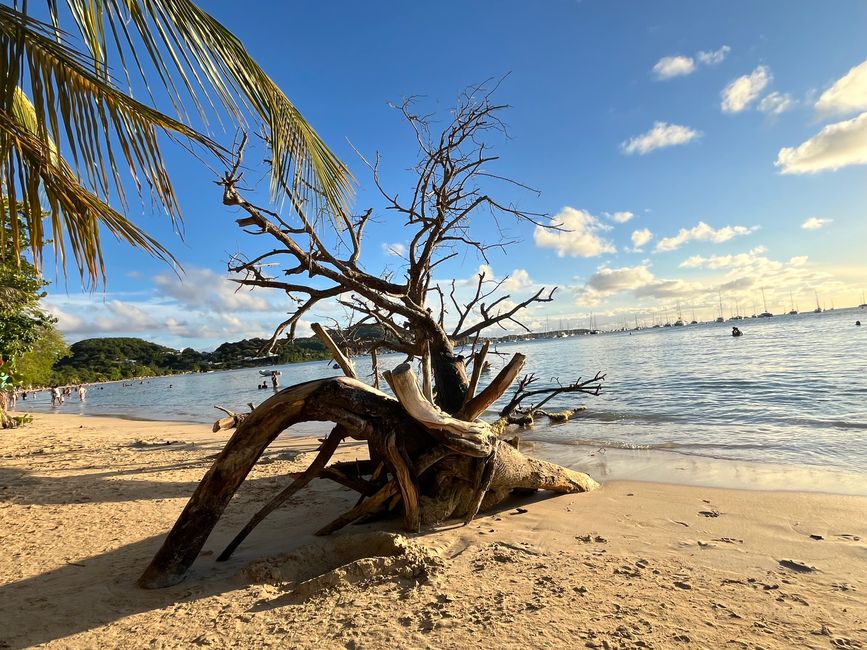 Plage Sainte Anne