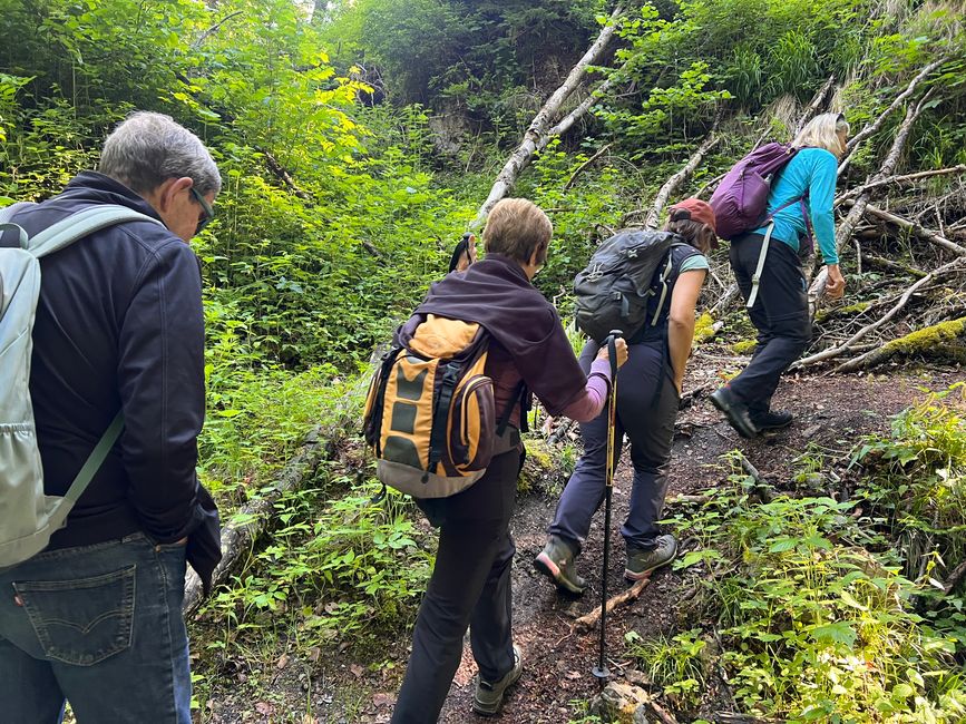 28 Wutachschlucht Pro Wolermoos
