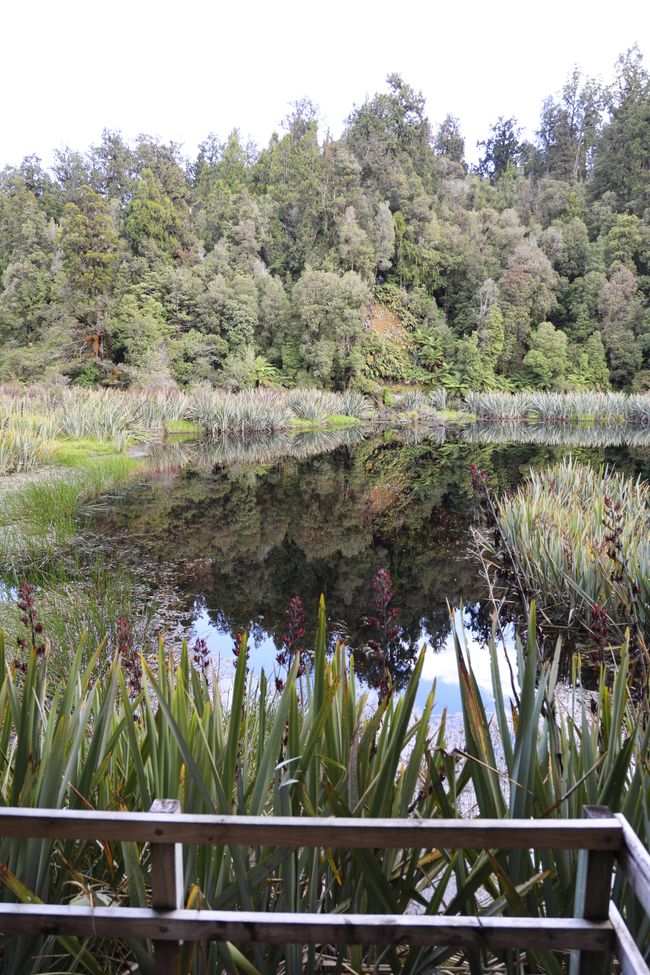 West Coast bis Jackson Bay