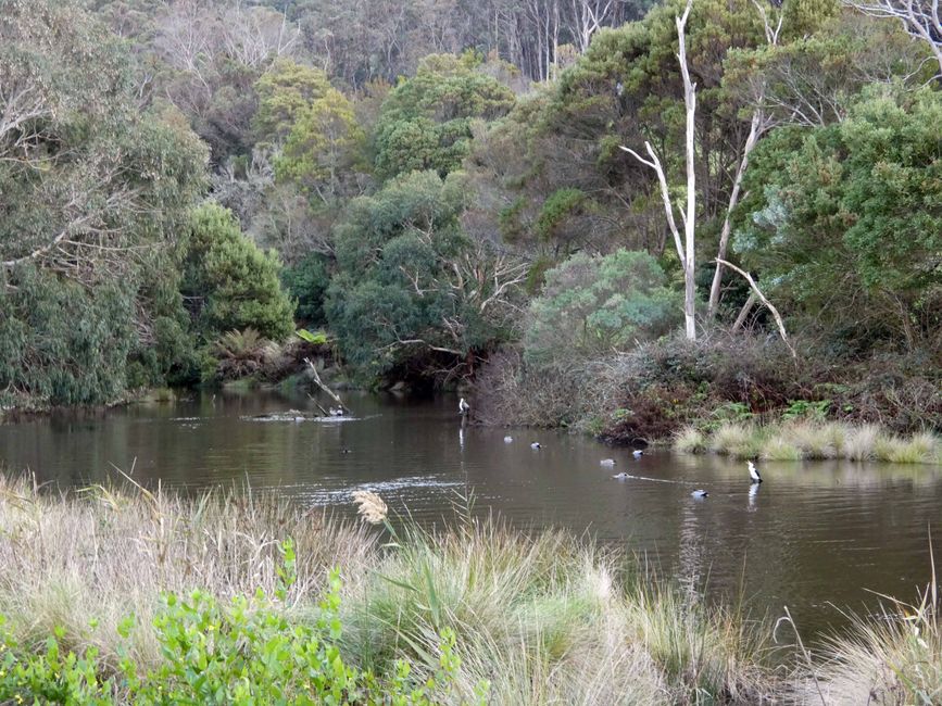 Sentiero Naturalistico del Fiume Kennet