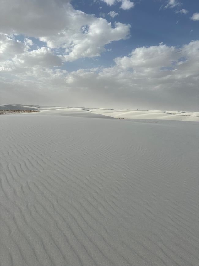 Arizona/ New Mexico/ Petrified Forest/ White Sands