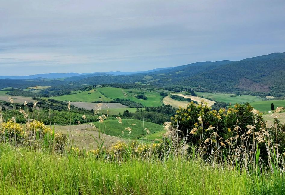 Tour de Toscana 2026