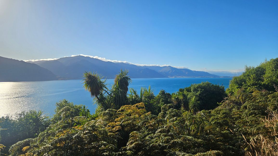Haast Pass - Isthmus Peak - Wānaka