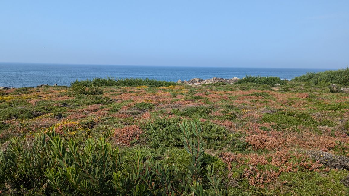 Fourth stage from Viana do Castelo to Vila Praia de Ancora