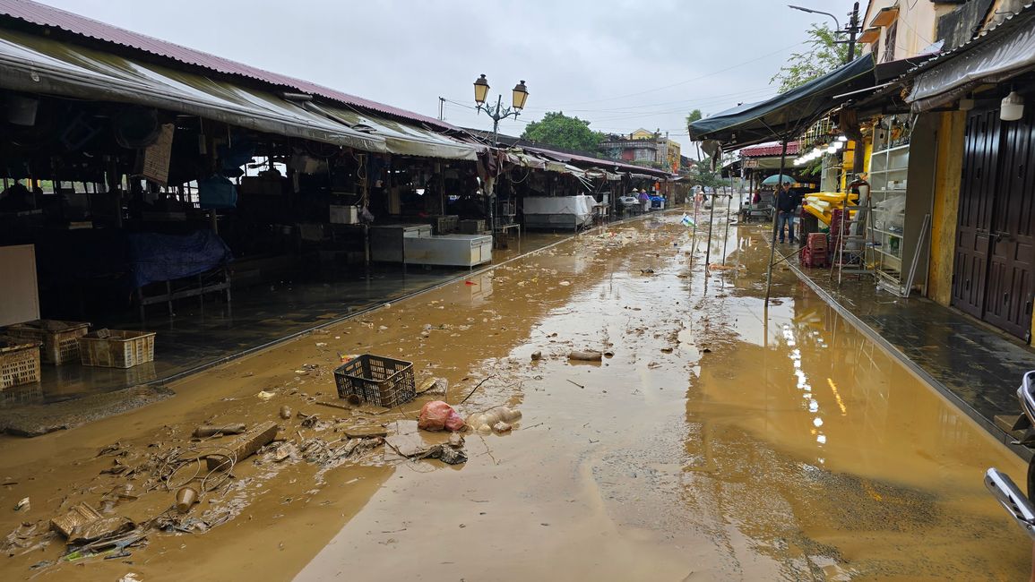 Hoi An - les travaux de nettoyage ont commencé