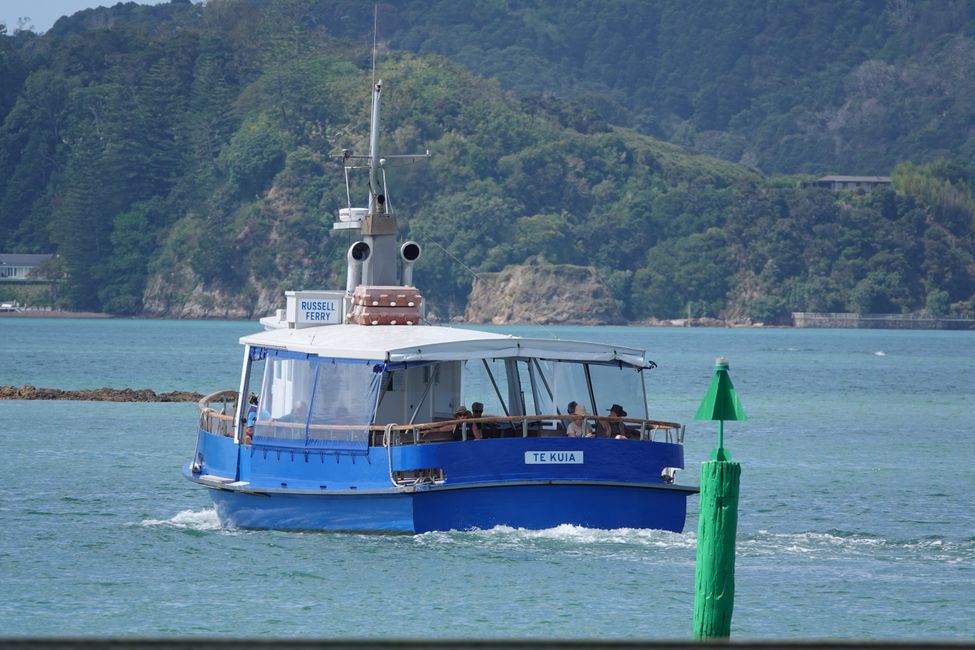 From Whangārei Heads to the Bay of Islands....