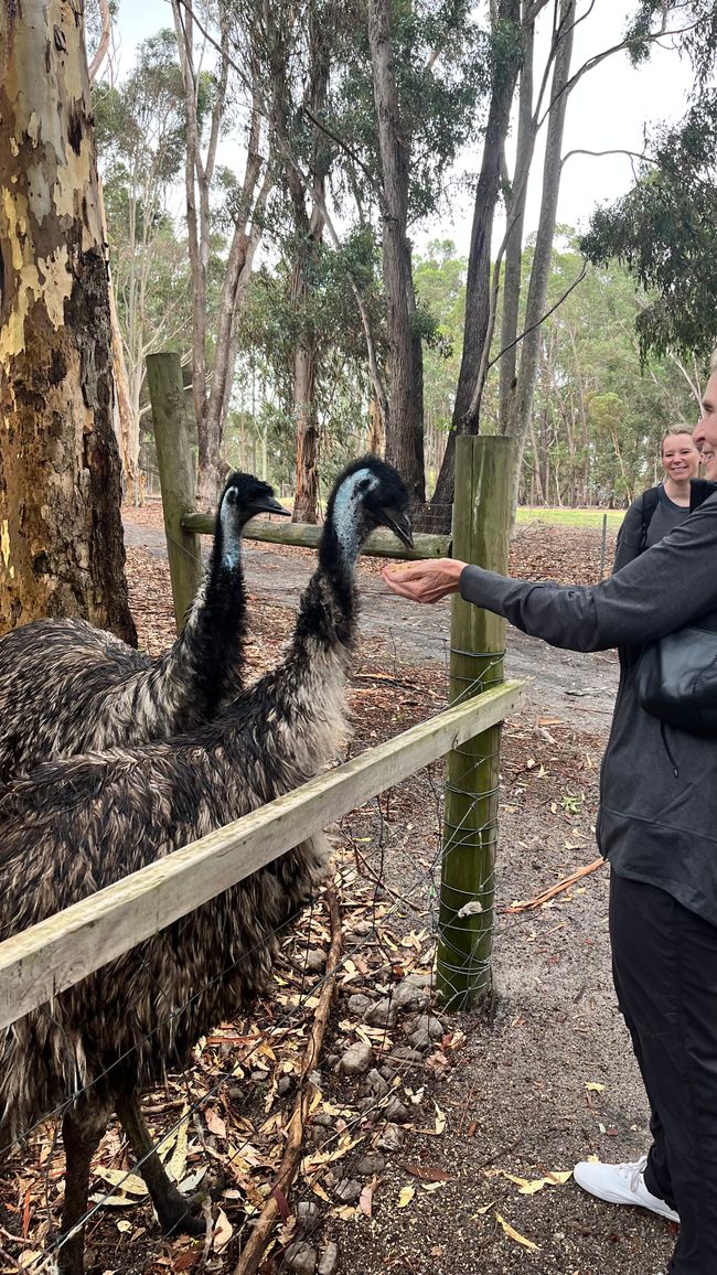 Margaret River