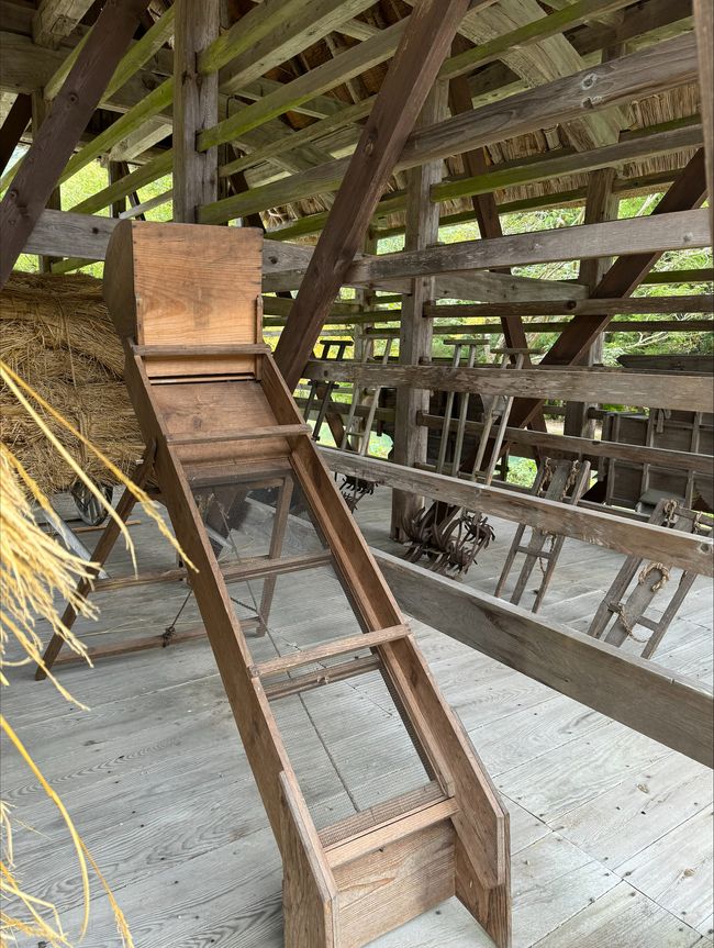 tools to detach the rice