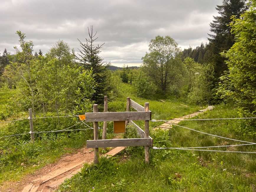 26 Feldbergsteig Escursione Pro Wolermoos