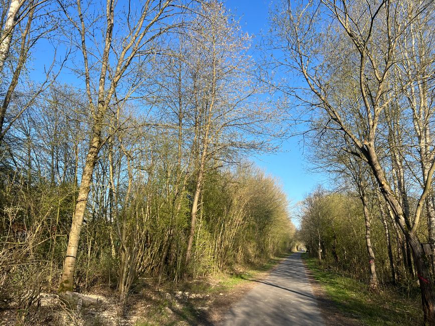 06 verso Northeim