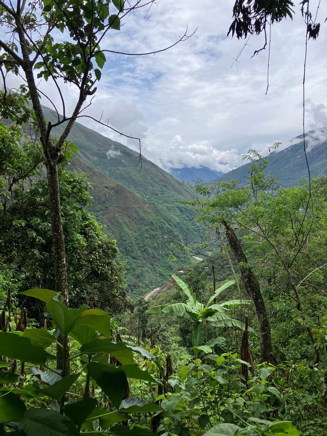 Machu Picchu - Dschungel-Abenteuer