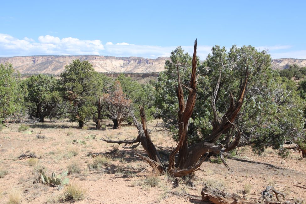 Scenery on our hike