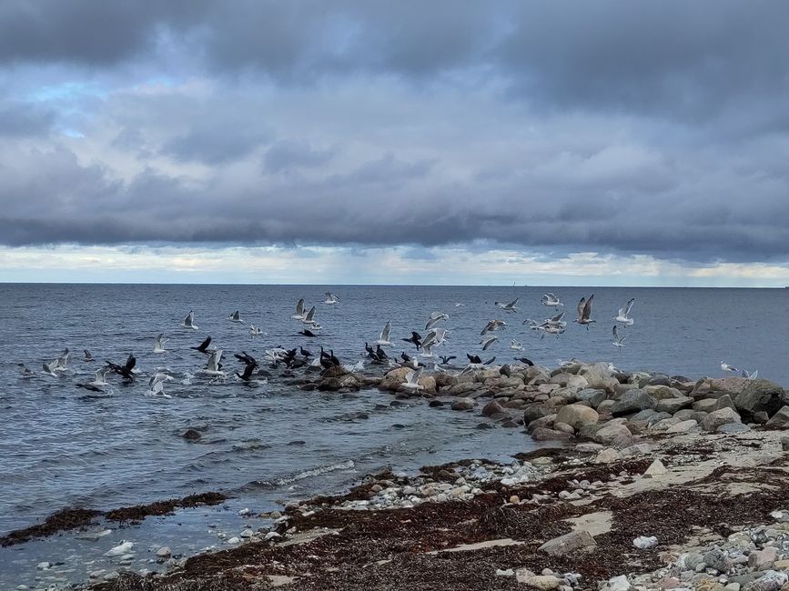 Ostsee