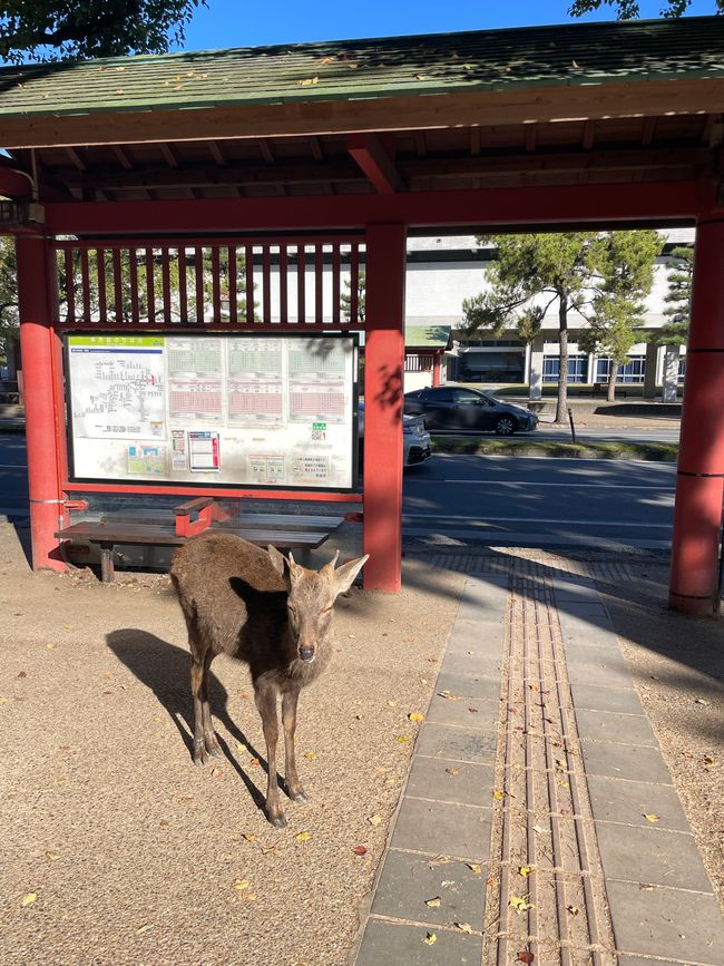 tō