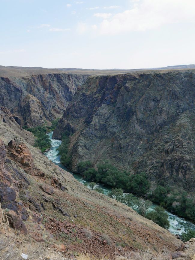Excursión a los lagos de montaña Kaindy y Kolsai