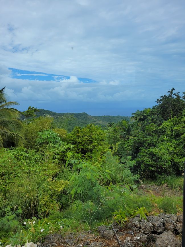 Tag 20 von 175: Kreuzfahrt rund um die Welt - Bridgetown/Barbados