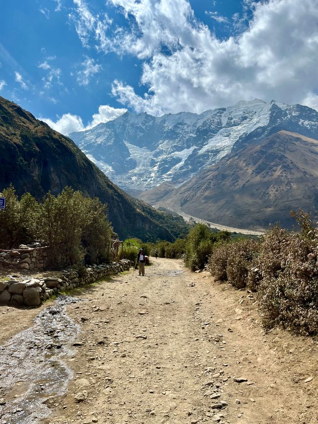 la ciudad más significativa de los incas. Después de minutos de asombro e incredulidad sobre la construcción de los incas, dejamos este lugar mágico y comenzamos el camino de regreso. Al pie de las escaleras nos encontramos con Viktor y Felix, quienes también aún tienen la fascinación de este lugar en sus rostros. Dado que desde aquí no hay opción de volver a Cusco aparte del costoso tren, debemos caminar todo el camino a lo largo de las vías hacia Hidroelectrica. Durante el camino de regreso nos topamos con todas las personas que aún tienen por delante la experiencia. Algunos exhaustos con enormes mochilas. Puh, eso es realmente duro, especialmente cuando ya conoces la carga que se siente hasta aquí. Si se elige la caminata durante varios días, recomendaría claramente llevar poco peso; cualquier otra cosa es verdadera tortura y también innecesaria. Alrededor de las 16:30, y tras 20 kilómetros en el día, llegamos a Hidroelectrica. Dos Colectivos estaban esperando al final de la línea de tren y nos montamos completamente agotados pero satisfechos en uno de los vehículos a cuatro. Después de interminables serpenteos por las curvas y un transbordo, llegamos a Cusco poco antes de la medianoche. El conductor nos dejó cerca del casco antiguo y todos juntos nos hospedamos en un hostel, donde caímos exhaustos pero absolutamente felices y sorprendidos en la cama. En total recorrimos más de 110 kilómetros en 5 días, incluida la vuelta a Hidroelectrica. Una de las caminatas más exigentes (especialmente por la distancia), pero sin duda una de las más impresionantes que he realizado. Gracias también a mis amigos franceses por su increíble y entretenido acompañamiento. Al día siguiente, tras un agotador sueño, aún juntos visitamos un restaurante en el que disfrutamos del raclette. Un buen cierre de cinco días llenos de eventos, antes de que nuestros caminos se separaran nuevamente. ¡Bon Voyage Amigos, fue un honor!</p>