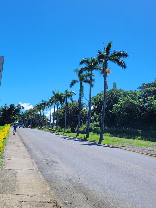 Giorno 74 di 175: Crociera intorno al mondo - Lautoka/Fiji