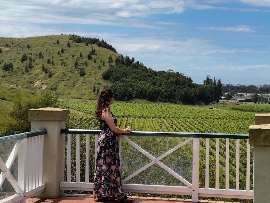 We drink our way through Hawke's Bay's Vineyards