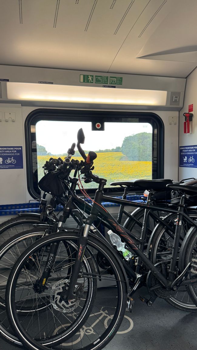 Unsere Räder im gratis Zug 