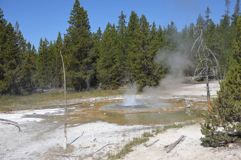 Norris Geyser Basin