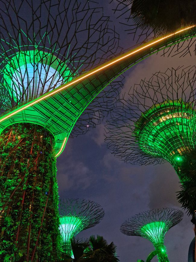 Gardens by the Bay - Grün