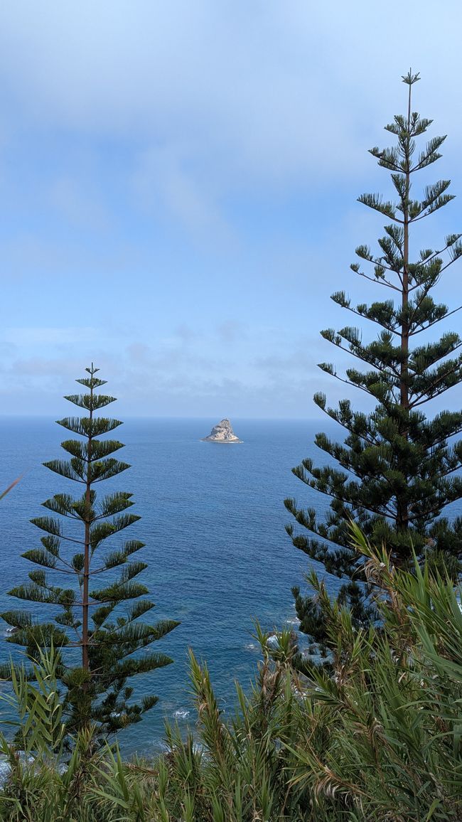 Tag 2: Inseltour auf Porto Santo