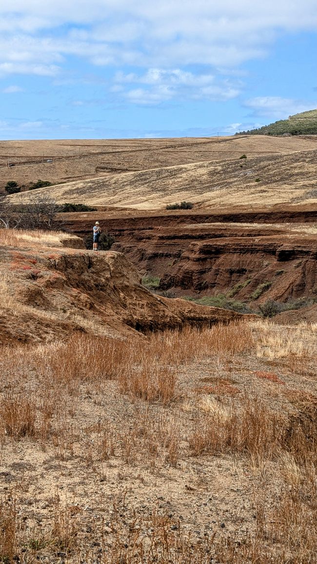 Der "Grand Canyon" von Porto Santo