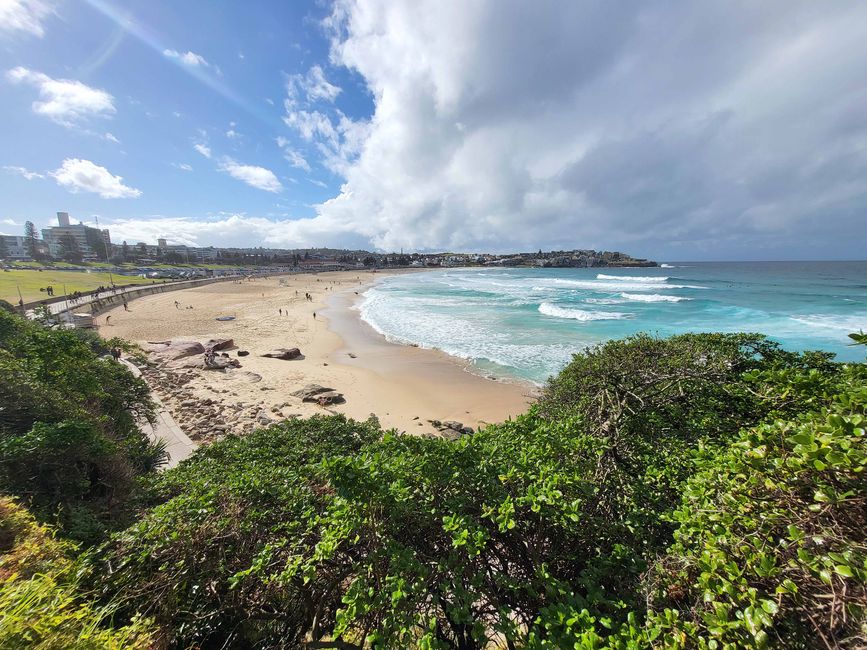 Syndney, Bondi und andere Beaches, 4. Tag