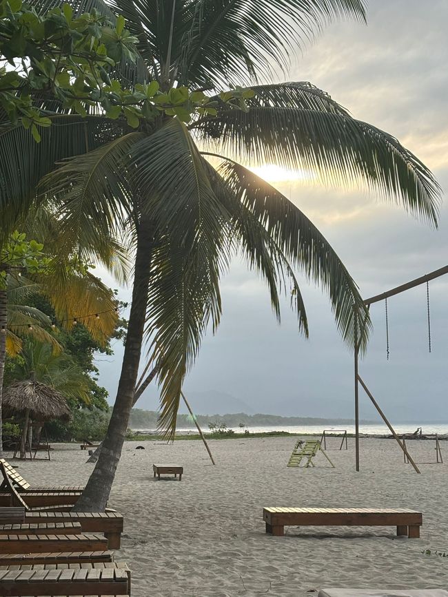 Settimana 16: Santa Marta